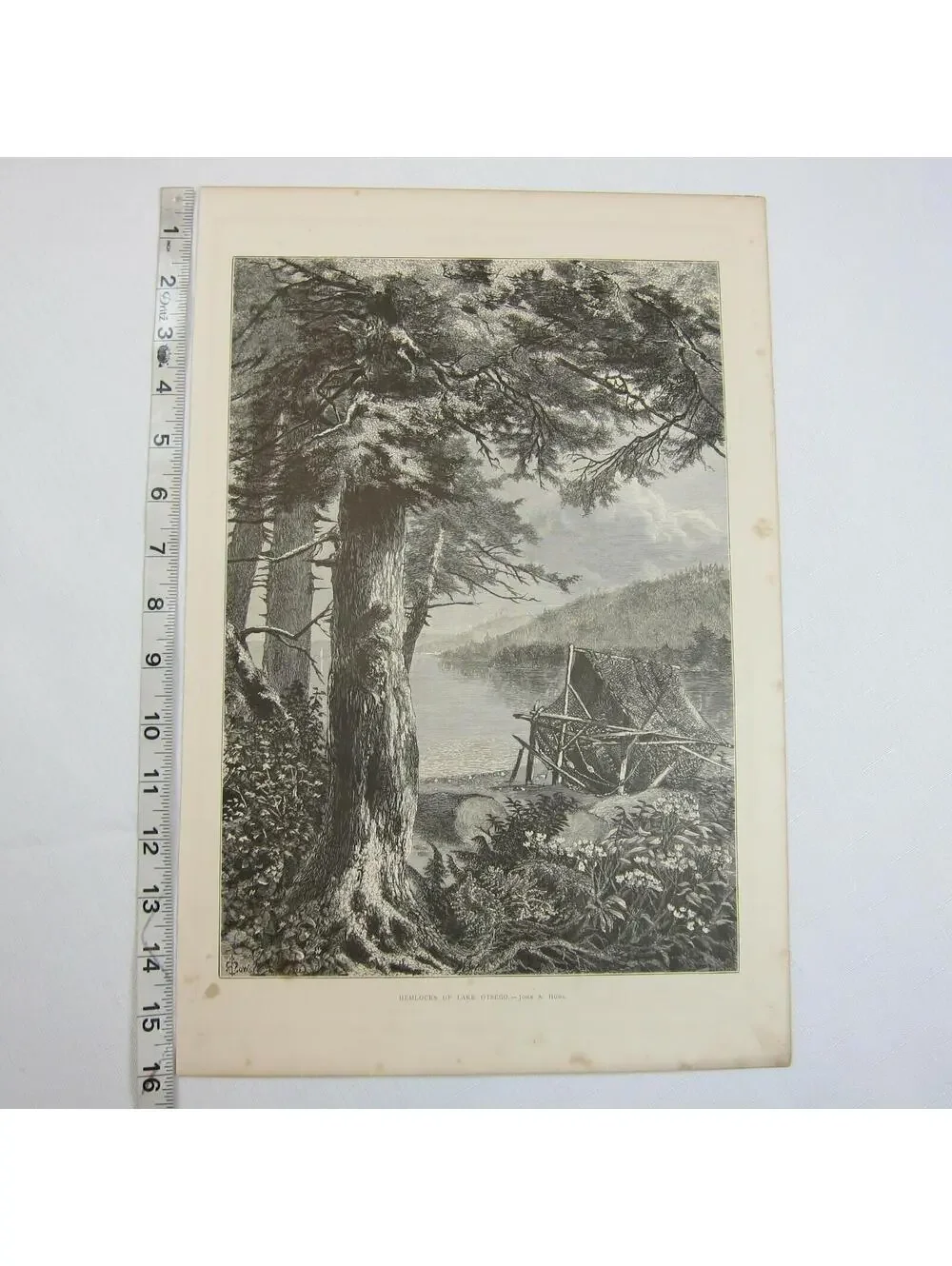 Art Print Hemlock Trees Lake Otsego New York Nature John A. Hows Antique 1874